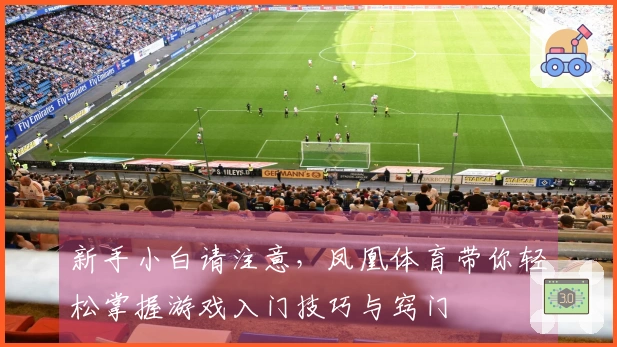 新手小白请注意，凤凰体育带你轻松掌握游戏入门技巧与窍门
